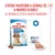 Royal Canin Medium Starter Mother & Babydog