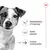 Vedligeholdelse af kropsvægt, støtter skelettet, livslang vitalitetsstøtte – tre produktfordele vist med ikoner og tekst ved siden af hundekrop.