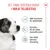 Royal Canin Mini Puppy i sås