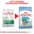 Royal Canin Mini Starter Mother & Babydog