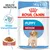Royal Canin Puppy Medium 140g x10, bild på valp, text: Health Nutrition, Stödjer immunförsvaret, sås. Förpackning med våtfoder för valpar av mellanstora raser.