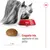Chien mangeant des croquettes dans une gamelle rouge Royal Canin, gros plan sur une croquette de 1 cm avec texte : Croquette très appétente et très petite.