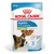 Royal Canin X-Small Puppy em molho