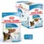 Royal Canin X-Small Puppy em molho