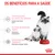 Os benefícios para a saúde: apoio à saúde da gata e do gatinho, sistema imunitário forte, desenvolvimento cerebral. Royal Canin visível na taça de comida.