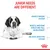 Junior needs are different: fragile immune system, muscle and bone structure full development, delicate digestive system.
