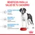 Beneficios para la salud de tu cachorro: sistema inmunitario fuerte (vitaminas y antioxidantes), desarrollo muscular (proteína adaptada), mantenimiento del microbioma (prebióticos, proteínas digestibles).
