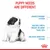 Puppy needs are different: fragile immune system, multiply birth weight by more than 100 times, delicate digestive system.
