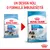 Royal Canin Starter Mother & Babydog Giant, design nou și formulă îmbunătățită. Ambalaj vechi și nou cu câini vizibili, text: 1–2 months/mois, adult weight over 45 kg.