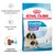 Pachet Royal Canin Starter Mother & Babydog Giant 1–2 months, imagine cu doi câini mari, text: Susține sănătatea mamelor și a puilor acestora, Sistem imunitar puternic, Crochete rehidratabile.