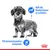 Dackel mit Text: Hilft die Muskelmasse zu erhalten. Hilft die Gewichtszunahme zu begrenzen. Royal Canin Logo unten rechts.