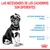 Las necesidades de los cachorros son diferentes: sistema inmunitario frágil, periodo de aprendizaje y entrenamiento, sistema digestivo delicado. Royal Canin.