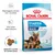 Royal Canin Starter Mother & Babydog Maxi 1–2 months, wspomaganie zdrowia suki i szczeniąt, silny układ odpornościowy, krokiety łatwe do namoczenia, opakowanie 2 stage