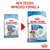 Royal Canin Starter Medium packaging update shown with old and new bags. Text states: New design, improved formula. For mother and babydog, adult weight 11-25 kg, 1-2 months.