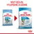 Royal Canin Starter Mini Mother & Babydog – porovnanie starého a nového balenia, text: Nový dizajn, vylepšené zloženie. Na obale viditeľné: 1–2 months/mois, adult weight up to 10 kg.
