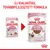 Royal Canin Kitten 85 g macskaeledel új csomagolása és továbbfejlesztett formula. Felirat: Új kialakítás, továbbfejlesztett formula. Kétféle tasak látható.