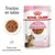 Royal Canin Kitten Sterilised 6-12 months, 85 g x12. Trocitos en salsa. Textura suave para los dientes de leche. Imagen de comida húmeda y gatito en el envase.