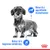 Royal Canin Light Weight Care Mousse