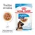 Royal Canin Puppy Maxi 2–15 months, trocitos en salsa, textura suave para los dientes de leche, paquete de 140 g x10, etapa 3. Imagen de cachorro y comida húmeda. Royal Canin Puppy Maxi 2–15 months, trocitos en salsa, textura suave para los dientes de leche, paquete de 140 g x10, etapa 3. Imagen de cachorro y comida húmeda.