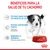 Beneficios para la salud de tu cachorro: textura suave para los dientes de leche, sistema inmunitario fuerte con vitaminas y antioxidantes, desarrollo cerebral con DHA. Royal Canin.