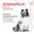 Royal Canin Skin & Coat Adult Kauwsnacks