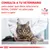 CONSULTA A TU VETERINARIO para saber qué dieta veterinaria ROYAL CANIN es adecuada para tu gato. VETERINARY NUTRITION. Imagen de un gato en una consulta veterinaria.