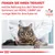 Fragen Sie Ihren Tierarzt, welche Nahrung aus dem Veterinär-Sortiment von Royal Canin die richtige Wahl für Ihre Katze ist. Veterinary Nutrition Logo sichtbar.
