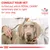 Consult your vet to find out which Royal Canin veterinary diet is right for your dog. Veterinary nutrition advice shown with a vet examining a dog.