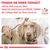 Royal Canin Veterinary Canine Gastrointestinal