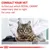 Consult your vet to find out which Royal Canin veterinary diet is right for your cat. Image shows a cat being examined by a veterinarian.