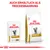 Royal Canin Urinary S/O Katzenfutter, erhältlich als Nass- und Trockenfutter. Verpackungen mit Katze und Produktnamen sichtbar.