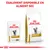 ROYAL CANIN URINARY S/O pour chat, sachet et sac visibles. Texte : ÉGALEMENT DISPONIBLE EN ALIMENT SEC.