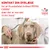 KONTAKT DIN DYRLÆGE for at få anbefalet hvilken ROYAL CANIN diæt der er korrekt til din hund. VETERINARY NUTRITION.