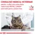 CONSULTAȚI MEDICUL VETERINAR pentru a afla care este dieta veterinară ROYAL CANIN® potrivită pentru pisica dvs. VETERINARY NUTRITION