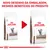 Novo desenho da embalagem Royal Canin Gastrointestinal Fibre Response para gatos. À esquerda: embalagem antiga 'Veterinary'. À direita: nova embalagem 'Expert'. Texto: NOVO DESENHO DA EMBALAGEM, MESMOS BENEFÍCIOS DO PRODUTO.