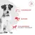 Royal Canin Veterinary Canine Glycobalance Small Dog Royal Canin Veterinary Canine Glycobalance Small Dog