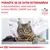 PORAĎTE SE SE SVÝM VETERINÁŘEM o nejvhodnějším veterinárním krmivu ROYAL CANIN pro vaši kočku. VETERINARY NUTRITION. Kočka u veterináře.
