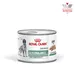 Royal Canin Veterinary Canine Glycobalance Mousse - 12 x 195 g