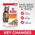 Product update showing Hill's Science Plan Adult 1-6 Chicken Chunks & Gravy with text: same great nutrition and taste, new look, new name, new recipe. Key changes highlighted.