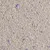 Vue rapprochée de litière pour chat composée de granulés beiges avec des grains bleus visibles. Aucun emballage ou marque n’est présent sur l’image.