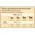 Tabla de ración diaria recomendada para perros según peso: 10–20 kg, 20–30 kg, 30–40 kg, 40–55 kg y nivel de actividad; cantidades en gramos indicadas para cada caso.