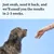 Instructional image showing a swab being held near a dog's mouth, with text: Just swab, send it back, and we’ll email you the results in 2-3 weeks.