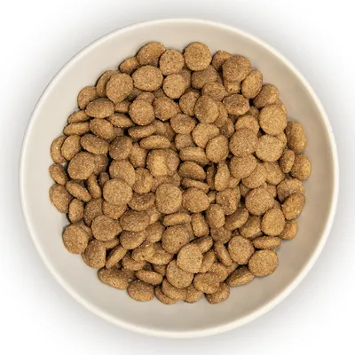 Bowl filled with round, brown dry pet food kibble pieces shown from above.