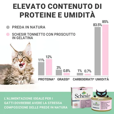 Grafico a barre: confronto tra preda in natura e Schesir Tonnetto con prosciutto in gelatina per proteine, grassi, carboidrati, umidità. Testo: alimentazione ideale per gatti come prede naturali.