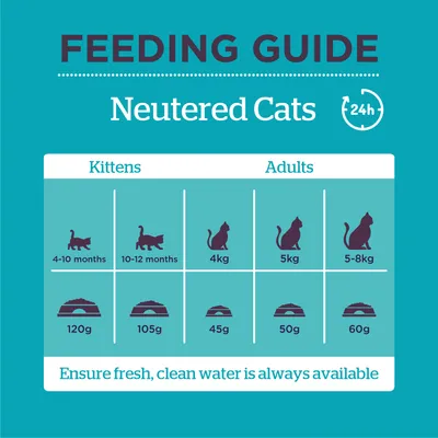 Feeding guide for neutered cats: kittens 4-10 months 120g, 10-12 months 105g; adults 4kg 45g, 5kg 50g, 5-8kg 60g. Ensure fresh, clean water is always available.
