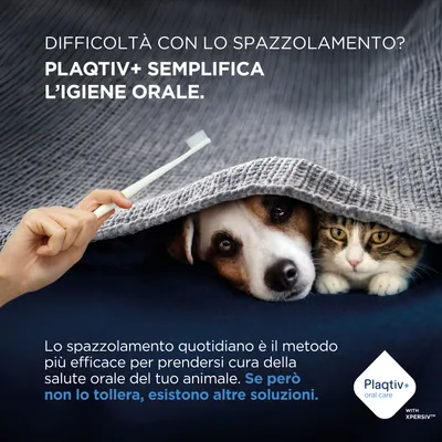 Plaqtiv+ semplifica l'igiene orale. La pulizia quotidiana dei denti è efficace, ma esistono alternative per gli animali che non la tollerano. Plaqtiv+ semplifica l'igiene orale. La pulizia quotidiana dei denti è efficace, ma esistono alternative per gli animali che non la tollerano.