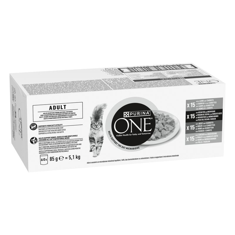 PURINA ONE Adult Pouches Mini Fillets in Gravy ▻ Next Day