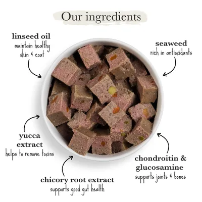 Bowl of cubed pet food with ingredient highlights: linseed oil for healthy skin and coat, seaweed rich in antioxidants, yucca extract to remove toxins, chicory root for gut health, chondroitin and glucosamine for joints and bones.