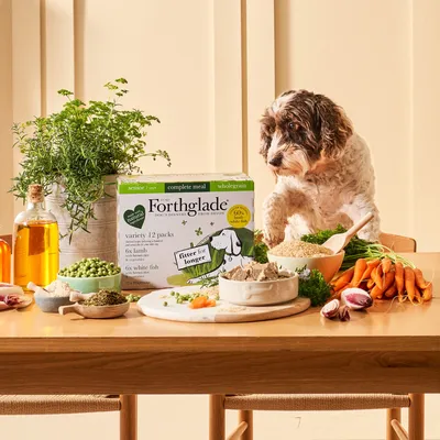 Dog sitting at table with Forthglade senior complete meal box, surrounded by fresh ingredients including carrots, peas, herbs and oils, showing product and its natural components.