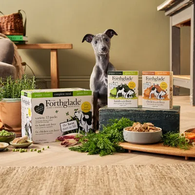 Forthglade puppy food variety packs and individual boxes labelled grain free, lamb with liver, chicken with liver, surrounded by fresh ingredients and a puppy standing behind the products.